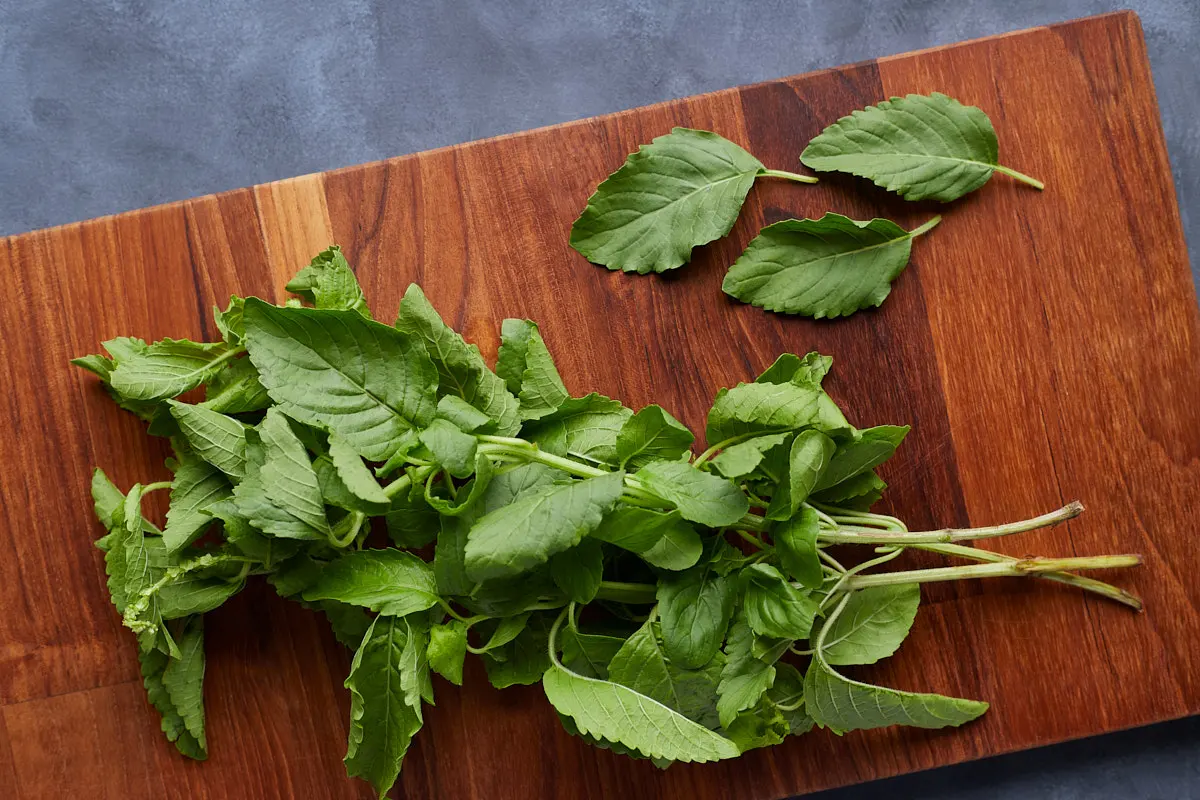 Keep basil fresh for longer.